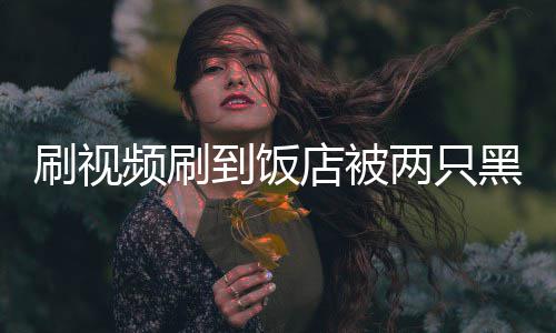 到饭店被店主懵频刷破门黑熊闯入两只了刷视